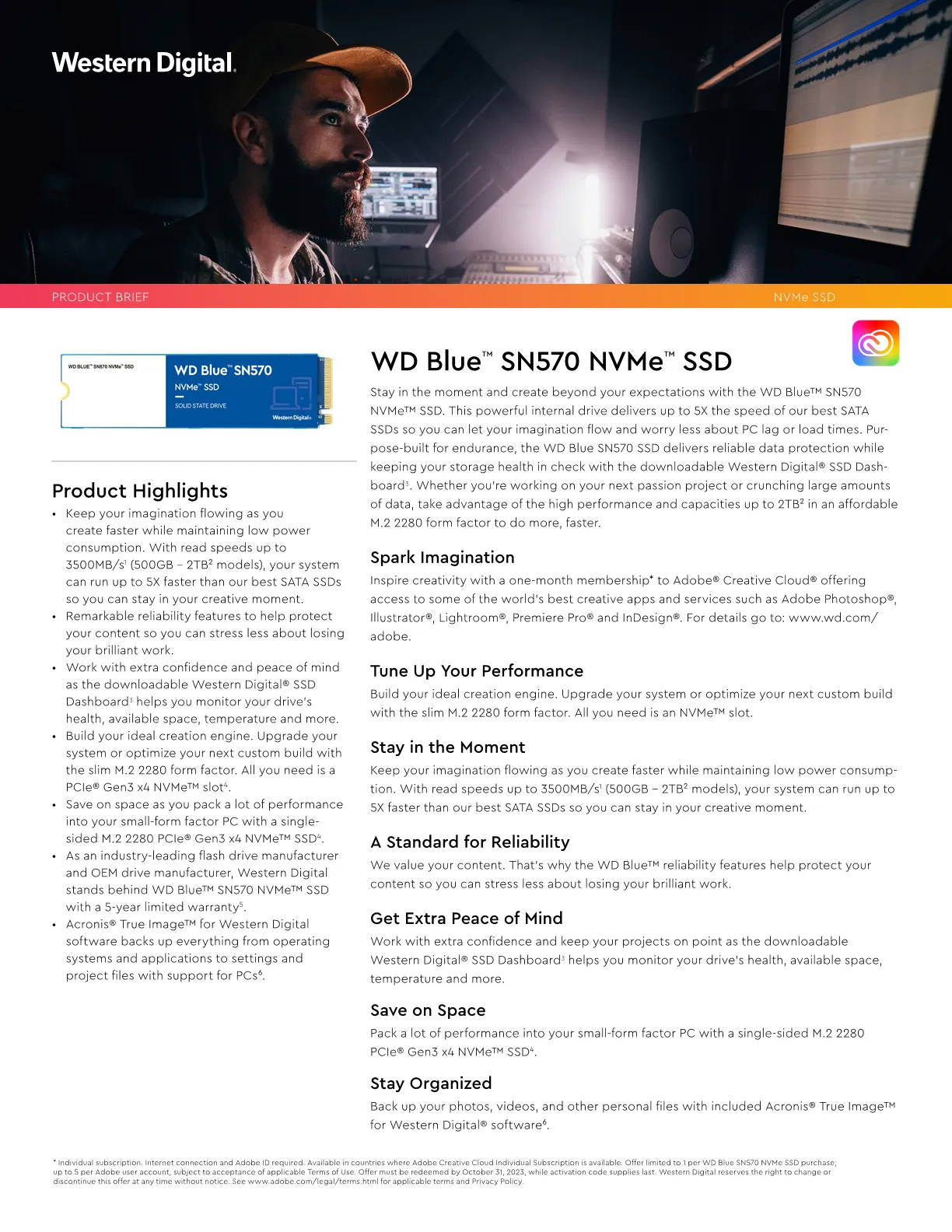 Western Digital Blue SN570 250GB Gen 3 NVMe M.2 PCIe SSD  